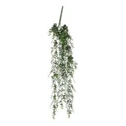 Eucalyptus artificielle suspendue