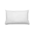 image de coussins scandinave 