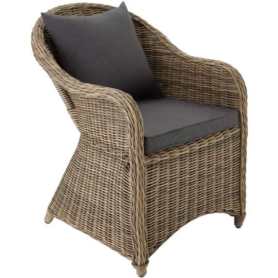 Fauteuil de jardin en rotin Avec cadre en aluminium marron naturel