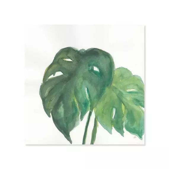 Tableau Plante monstera watercolor imprimé sur toile 30x30cm