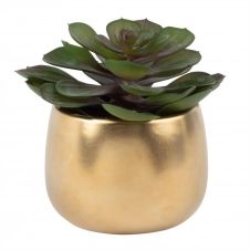 Succulente artificielle et pot en céramique dorée