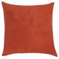 image de coussins scandinave 