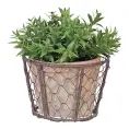 image de cache-pots scandinave 