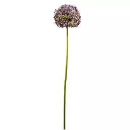 Allium artificiel Ninon