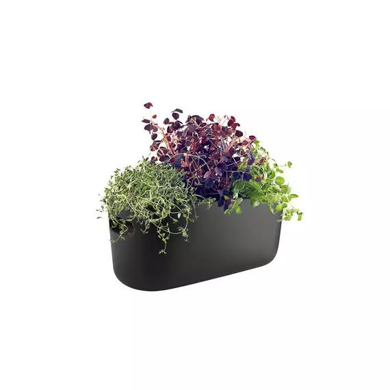 Pot à réserve d’eau Pot de fleurs en Céramique, Nylon – Couleur Noir – 31 x 28.85 x 13 cm – Designer The Tools