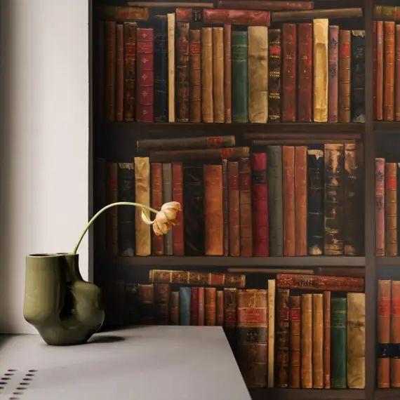 Papier Peint Bibliothèque 250×200 cm