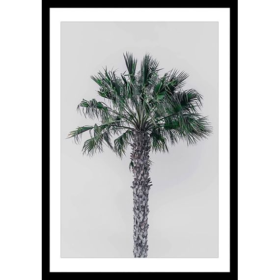 Affiche coconut palm avec cadre noir 20x30cm