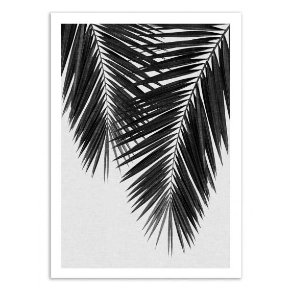 PALM LEAF PART 3 BLACK AND WHITE – Affiche d’art 50 x 70 cm