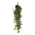 image de plantes artificielles scandinave 