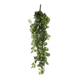 Fittonia plante artificielle