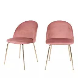 Geneve – Lot de 2 chaises en velours et pieds dorés – Couleur – Rose
