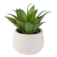 Plante artificielle Aloe Vera et pot en céramique blanche