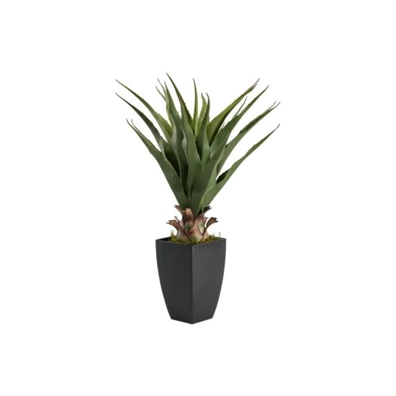 Plante artificielle H73 cm AGAVE Noir / Vert