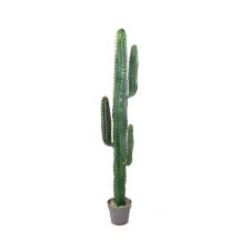Cactus Mexico artificiel