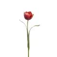 image de plantes artificielles scandinave 