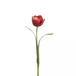 Tulipe artificielle Emily H37cm