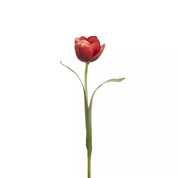 Tulipe artificielle Emily H37cm