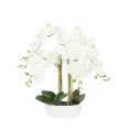 image de plantes artificielles scandinave 