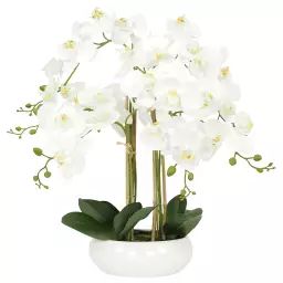 Plante Fleur Artificielle Orchidée Toucher Naturel, H.55cm