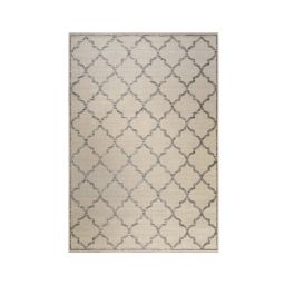 Tapis outdoor beige motif oriental gris pour entrée, extérieur 225×160