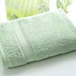 Lot de 2 gants de toilette 15×20 vert jade en coton