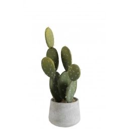 Cactus vert et pot ciment H50cm
