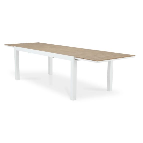 Table de jardin extensible 300/200×100 cm et polywood
