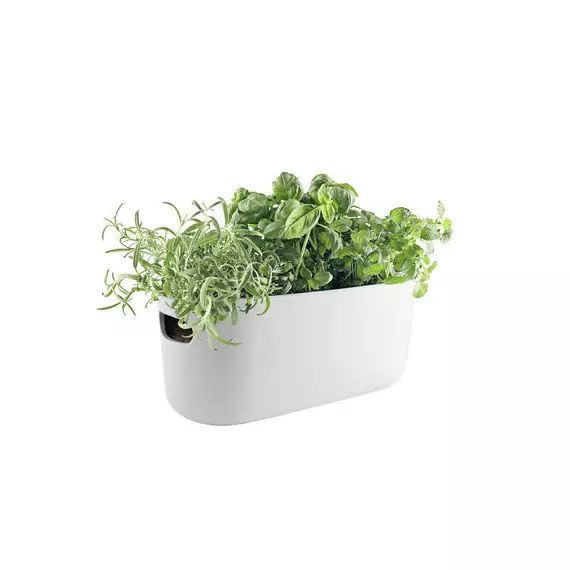Pot à réserve d’eau Pot de fleurs en Céramique, Nylon – Couleur Blanc – 31 x 28.85 x 13 cm – Designer The Tools