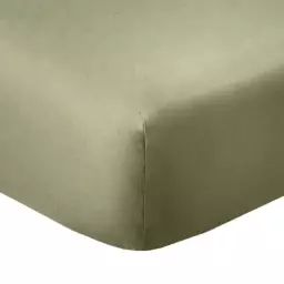 Drap housse 2 places coton vert verveine 140×190 cm