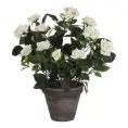image de plantes artificielles scandinave 