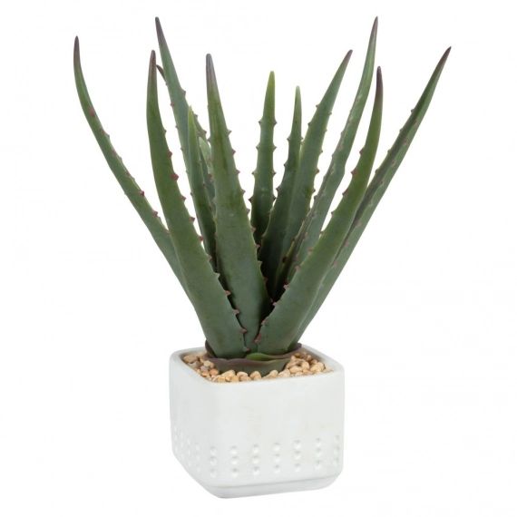 Aloe Vera artificielle pot en ciment blanc