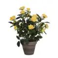 image de plantes artificielles scandinave 