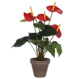Agapanthe plante artificielle rouge en pot H38