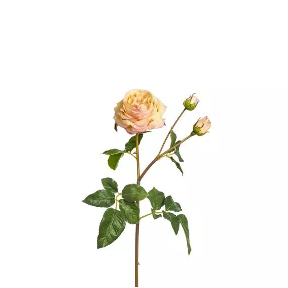 Rose artificielle Agathe H55cm