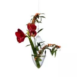 Vase en Verre, Verre soufflé – Couleur Transparent – 17 x 32 x 28 cm – Designer