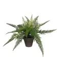 image de plantes artificielles scandinave 