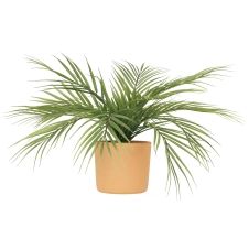Palmier areca artificiel 12 palmes en pot terracotta 40cm