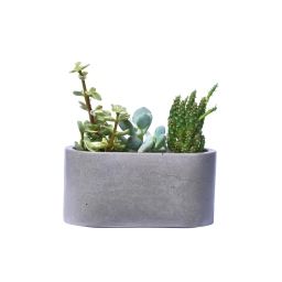Mini jardinière en béton gris