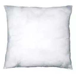Coussin de garnissage en coloris blanc polyester blanc 60×60