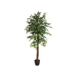 Plante artificielle H180 cm FICUS Noir / Vert