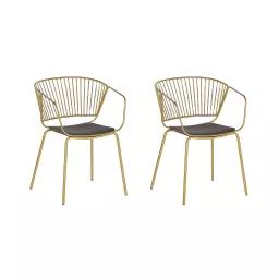 Lot de 2 chaises en métal doré