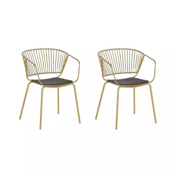 Lot de 2 chaises en métal doré