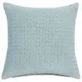 image de coussins scandinave