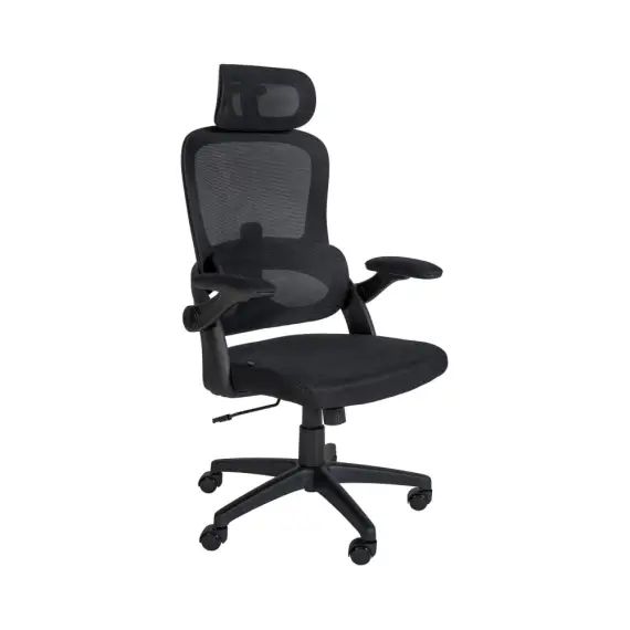 Fauteuil de bureau avec soutien lombaire en microfibre Noir