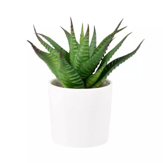 Succulente artificielle et pot en argile blanc