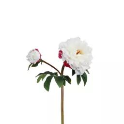 Tige de pivoine artificielle blanche H35