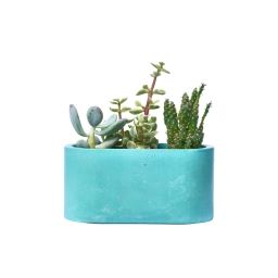 Mini jardinière en béton turquoise