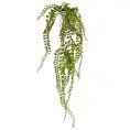 image de plantes artificielles scandinave 