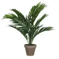 image de plantes artificielles scandinave 