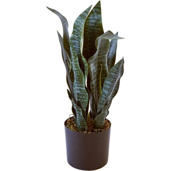Plante artificielle polyethylène vert H47cm